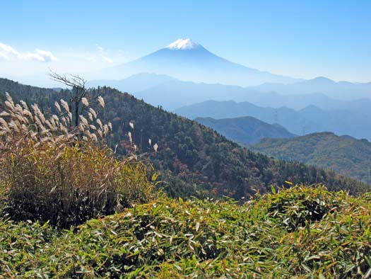 甲州アルプス 牛奥雁ヶ腹摺山 小金沢山